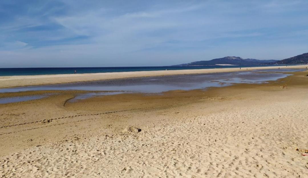 Lances Playa Appartement Tarifa Buitenkant foto